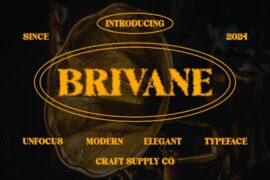 Brivane Unfocus Demo Font