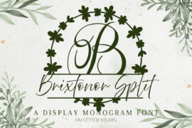 Brixtonor Split Monogram Font