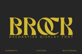 Brock Font
