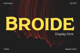 Broide Demo Font