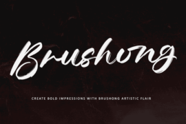 Brushong – Personal use Font