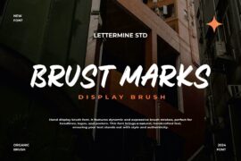 Brust Marks Demo Font