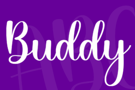 Buddy Font