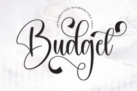 Budget Font