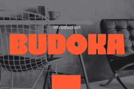 BUDOKA Font