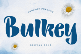 Bulkey – Personal Use Font