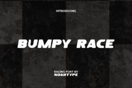 Bumpy Race Demo Font