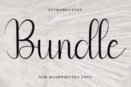 Bundle Font