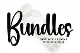 Bundles Font