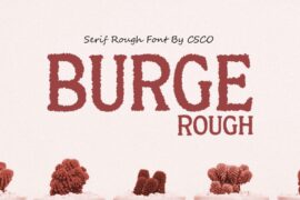 Burge Rough Demo Font