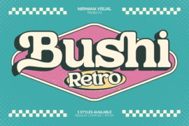 Bushi Retro Demo Font