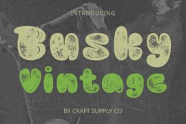 Busky Vintage Demo Font