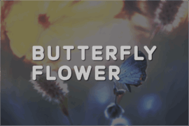 Butterfly Flower Font