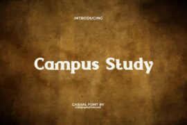 CampusStudyDemo Font