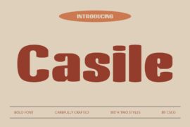 Casile Demo Font