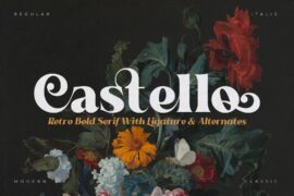 Castello Typeface Font Family