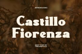 CastilloFiorenzaDemo Font