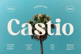Castio Demo Font