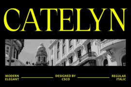 Catelyn Demo Font