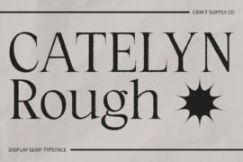 Catelyn Rough Demo Font