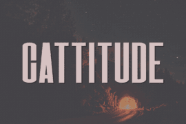 Cattitude Font