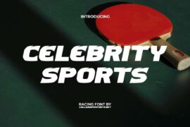 CelebritySportsDemo Font