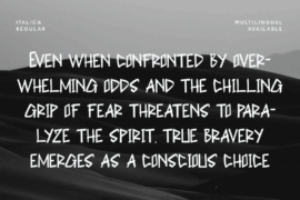 CF Crimptoned DEMO Font Family