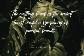 CF Golden Glamoura DEMO Font Family