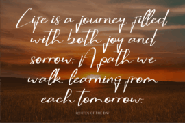 CF Sylara Signates DEMO Font Family