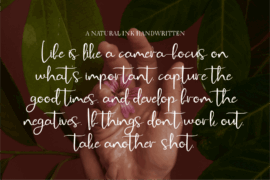 CF Zara Bellezza DEMO Font Family