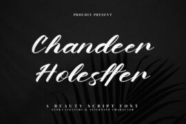 Chandeer Holestter Font Family