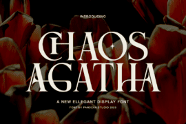 Chaos Agatha DEMO Font