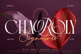 Charoly Demo Font Family