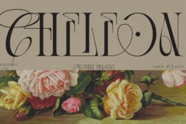 CHELEON Font