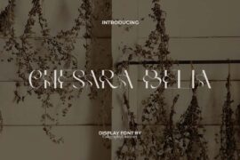 Chesara Belia Demo Font