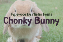 Chonky Bunny Font