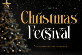 Christmas Fecsival-Personal use Font