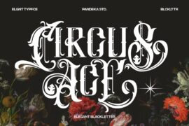Circus Ace DEMO Font