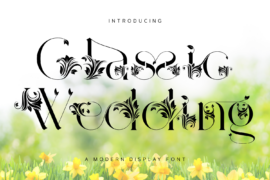 Classic Wedding Demo Font