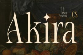 CS Akira Demo Font