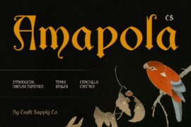 CS Amapola Demo Font
