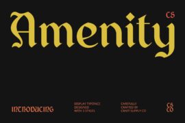 CS Amenity Demo Font
