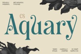 CS Aquary Demo Font