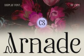 CS Arnade Demo Font