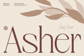 CS Asher Demo Font