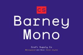 CS Barney Mono Demo Font