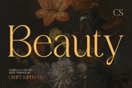 CS Beauty Demo Font