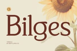 CS Bilges Demo Font