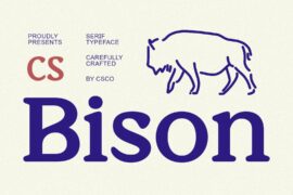 CS Bison Demo Font