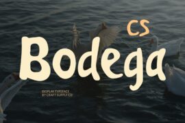CS Bodega Demo Font
